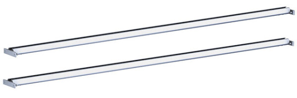 Dachrelinge & Träger