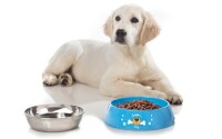 Hundeschüssel BRUNNER Hungry XL Farbe blau