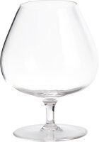 Cognacgläser BRUNNER 2er-Set 430 ml