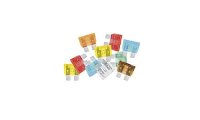 Sicherungsset IWH Flachstecksicherungen Standard Inhalt...
