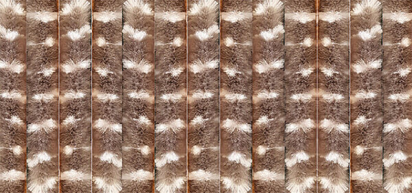 Türvorhang  ARISOL 100 x 205 cm Farbe braun/weiß