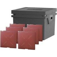 Kühlbox QOOL Eco+ L Standard Cool mit 6 Temperatur...