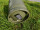 E-Gaslevel E-Trailer