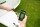 Starter Paket E-Trailer Plus