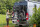 Fahrradträger THULEVeloTrack Frame passend für Ducato/ Jumper/Boxer