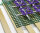 FROLI Auflagegitter Doppel 4 m 4000 x 1000 x 2  mm Farbe grün