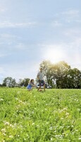 Füllstandsmesser Truma LevelControl