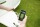 Starter Paket E-Trailer Basic E-Connect, E-Level, E-Volt
