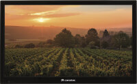Caratec Vision CAV220B.2 55cm/22 Zoll Weitwinkel TV mit...