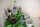 Alleshalter froli Set 16 Stück, Farbe grün