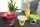 Trinkglasabdeckung purvario Bee 4er Set