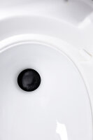 Porzellaneinsatz THETFORD Twusch passend für Thetford Toiletten C500