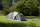 Zelt Coleman Darwin 3 Plus 185 x 130 x 325 cm Farbe grau / grün