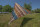 Sonnensegel BENT TC Zip-Canvas Single, Afrika Design Afrika Druck