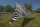 Sonnensegel BENT TC Zip-Canvas Single, Afrika Design Zebra Druck