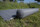 Kissenrolle BENT Zip-XL Lounger Farbe dunkelgrau