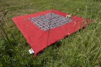 Teppich BENT Zip-Carpet Farbe orient rot