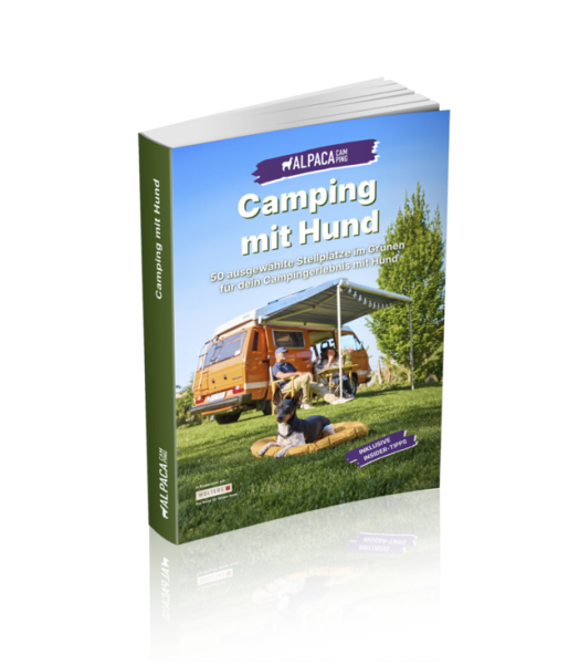 Ratgeber Camping mit Hund