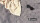 Teppich Outwell zu Heckklappenzelt Woodcrest Farbe black & grey