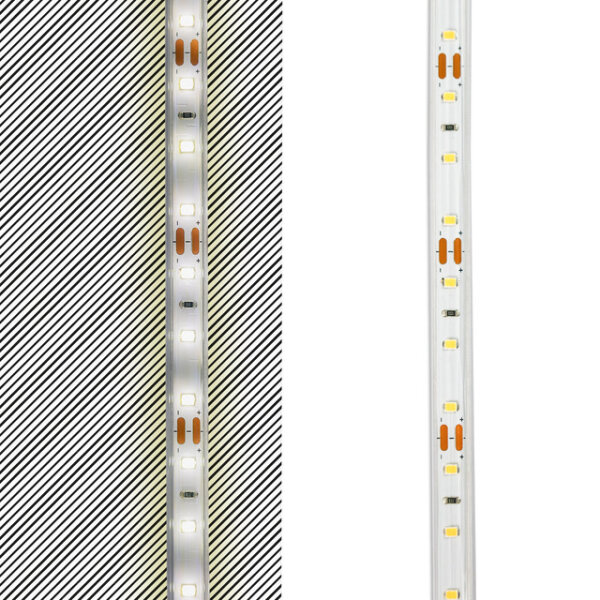 LED Flexband SCL 5 m Rolle, 7,2 W, 12 V DC, 4000 K, IP65, 60 LED