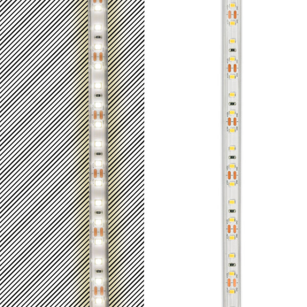 LED Flexband SCL 5 m Rolle, 10 W, 12 V DC, 4000 K, IP65, 90 LED