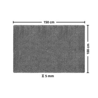 Fußmatte LAKO Aquastop 100 x 150 cm Farbe grau