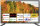 Fernseher Smart TV 19 Zoll