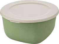 Box mit Deckel koziol 2 l CONNECT BOX 2 Farbe nature leaf...