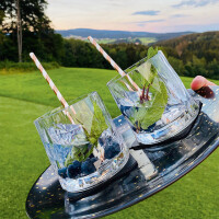 Magnet-Kunststoffgläser silwy TUMBLER 2er-Set Hightech 250ml Fb. transparent