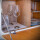 Magnet-Kristallgläser silwy CHAMPAGNER 2er-Set 200 ml 2 Kristallgläser + 2 Pads Fb. transparent