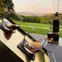 Magnet-Kristallgläser silwy WHISKY 2er-Set 250 ml 2 Kristallgläser + 2 Pads Fb. transparent